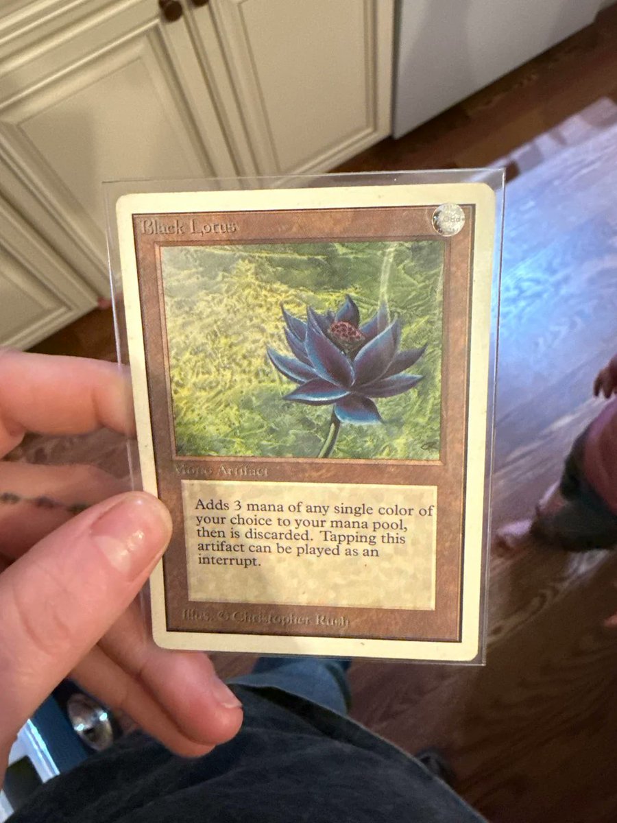 友人とその妻がこれを相続で受け取り、これが彼らのMTG初体験です。本当に羨ましい！ほぼ一ヶ月かけて全てを丹念に調べ、値段を付けているところです。