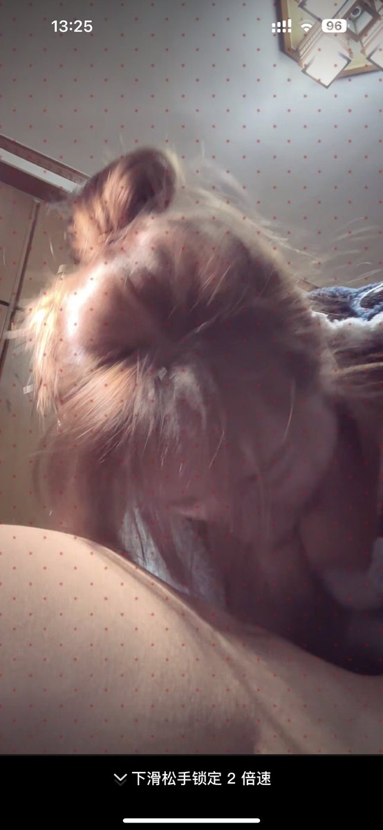 软E的日常～ tweet media