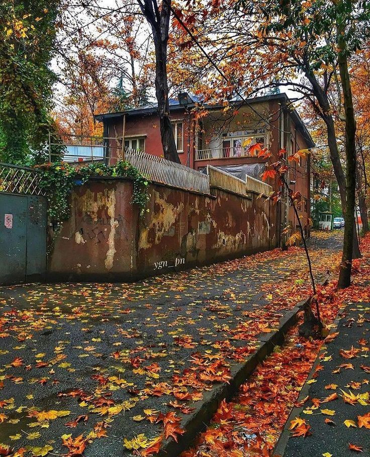 Gününüz aydın olsun,sevgili takipçilerim..

☕🌥️