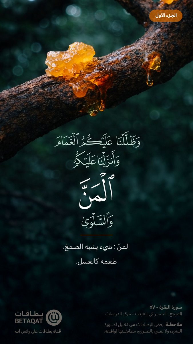 فذكر بالقرآن tweet media