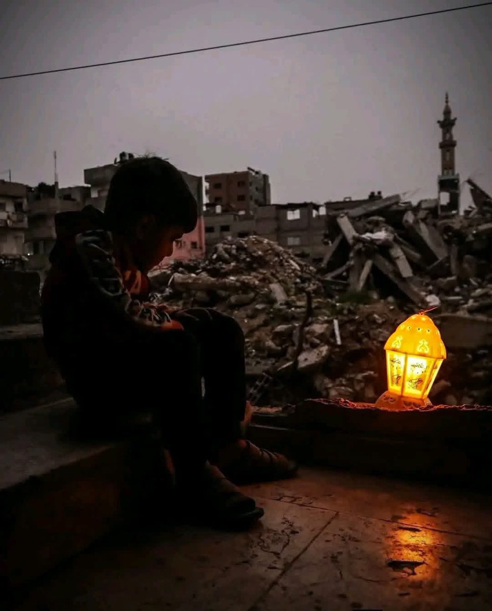 learnquranapp_'s tweet photo. Be love for your people.
Be strength for your land.
For Gaza, stand firm like unshaken pillars.
Write glory with your patience and faith. 🇵🇸✨ https://t.co/vhZ6pP4yeC