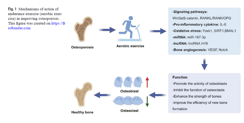 Sociedad SEEN tweet media