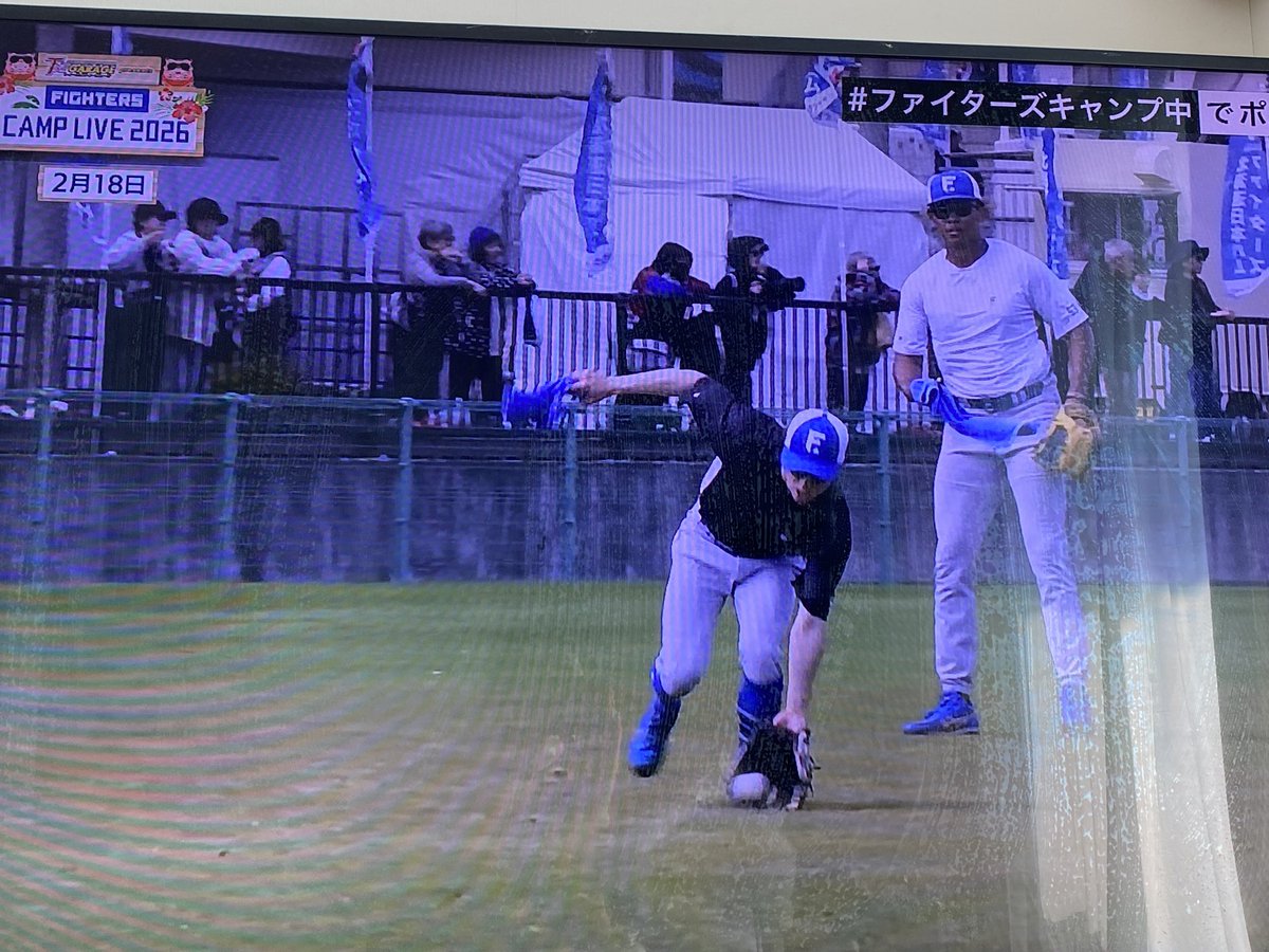 CSのGAORA⚾️で岩ちゃんこと、岩本さんがキャンプの解説中🎤😆 1日で