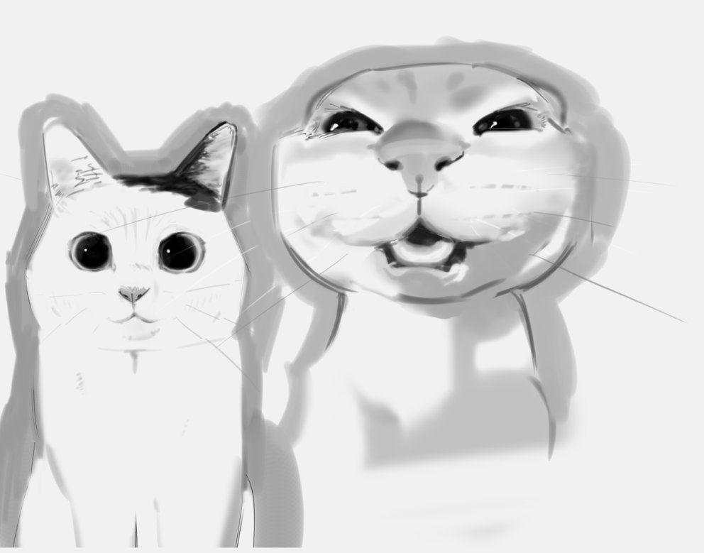 Hi im Rune tweet media