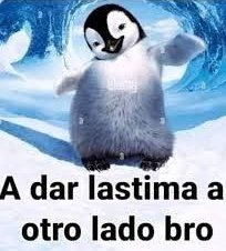 JAJAJA El Kirchnerista diciendo que el congreso sirve xddd