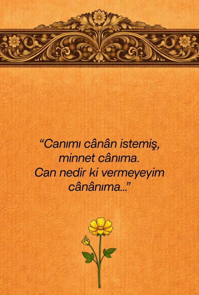 Mehmet Okur محمد أوكور (@okur14) on Twitter photo 