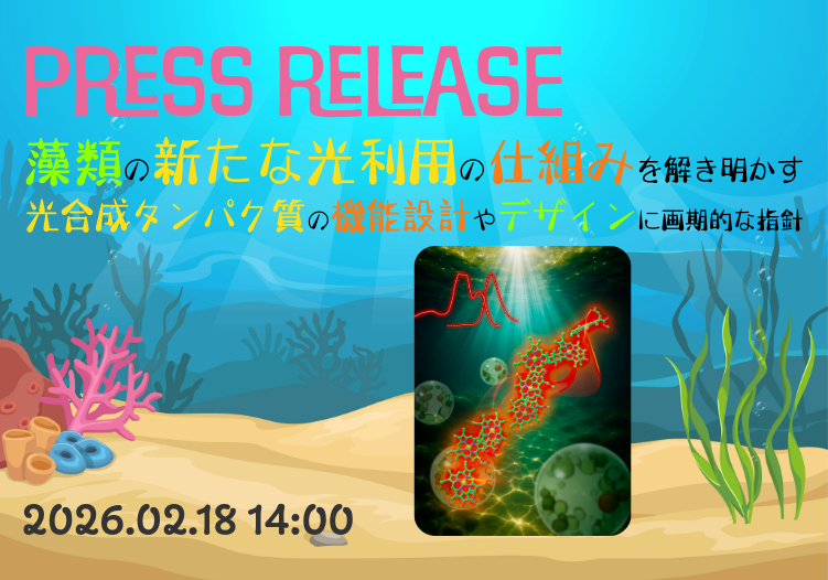 大阪大学蛋白質研究所 tweet media