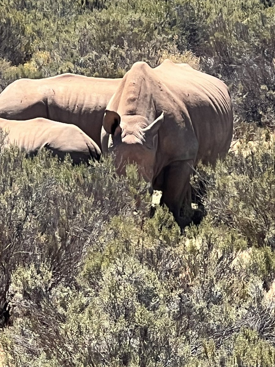 Joseph Parkinson tweet media