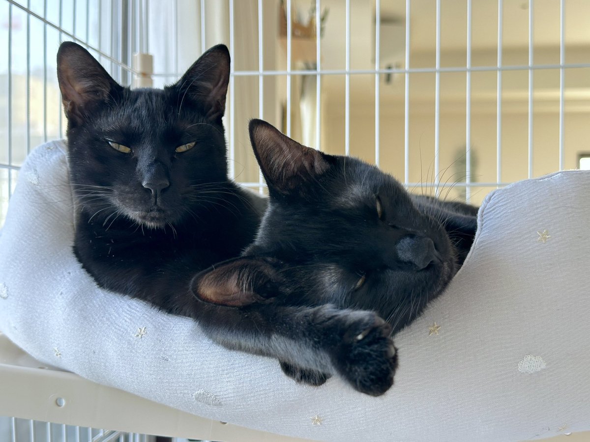 なんでもないです…