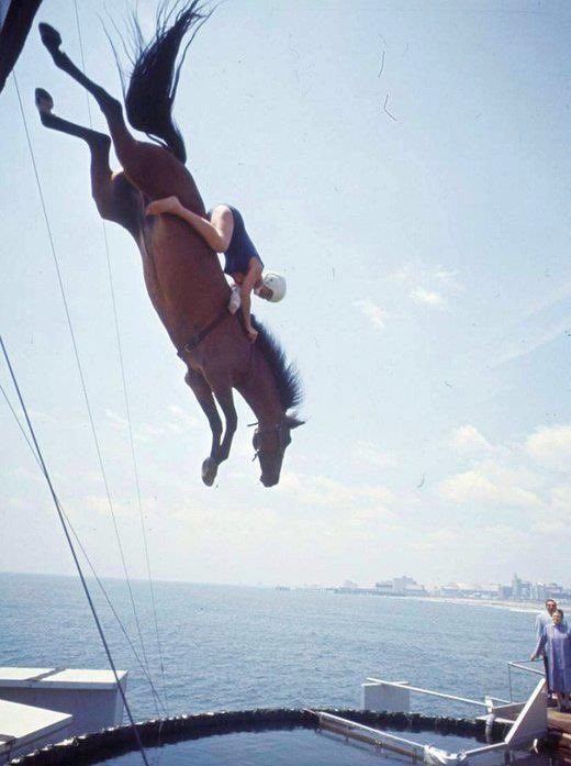 CoconutGreek tweet media