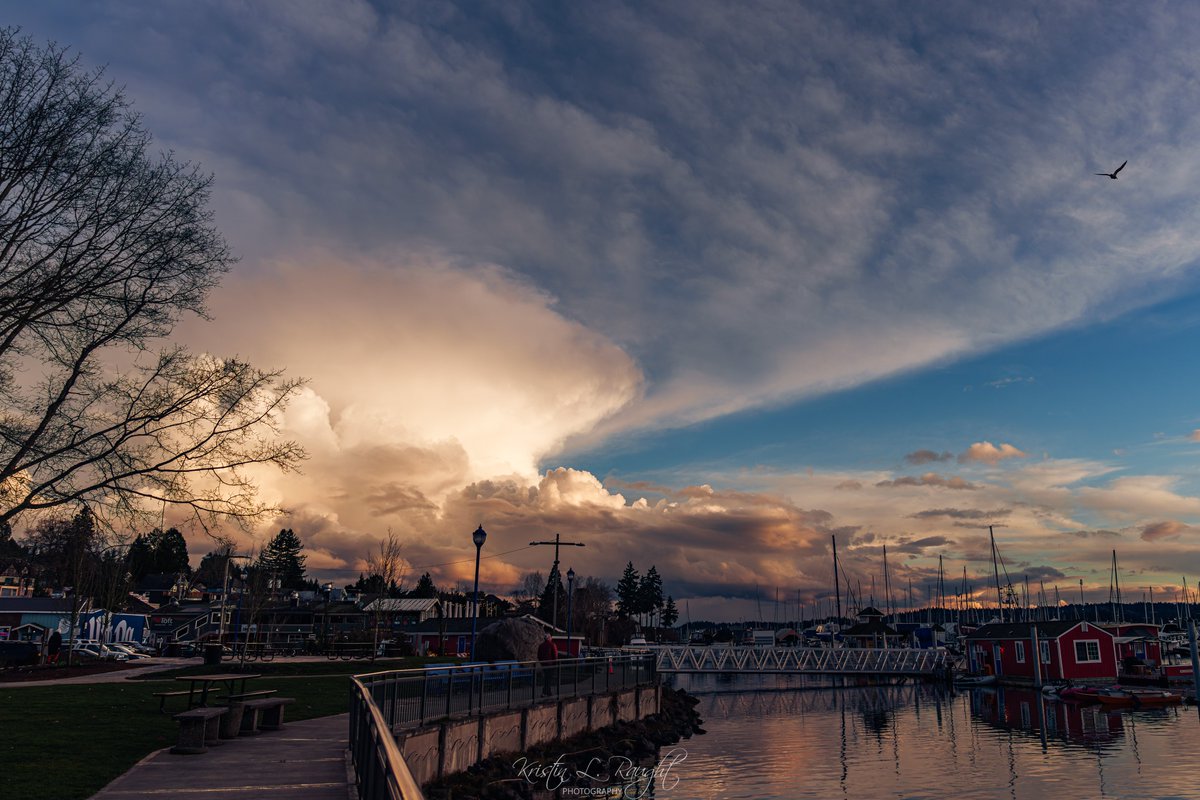 Kristin L. Raught Photography tweet media