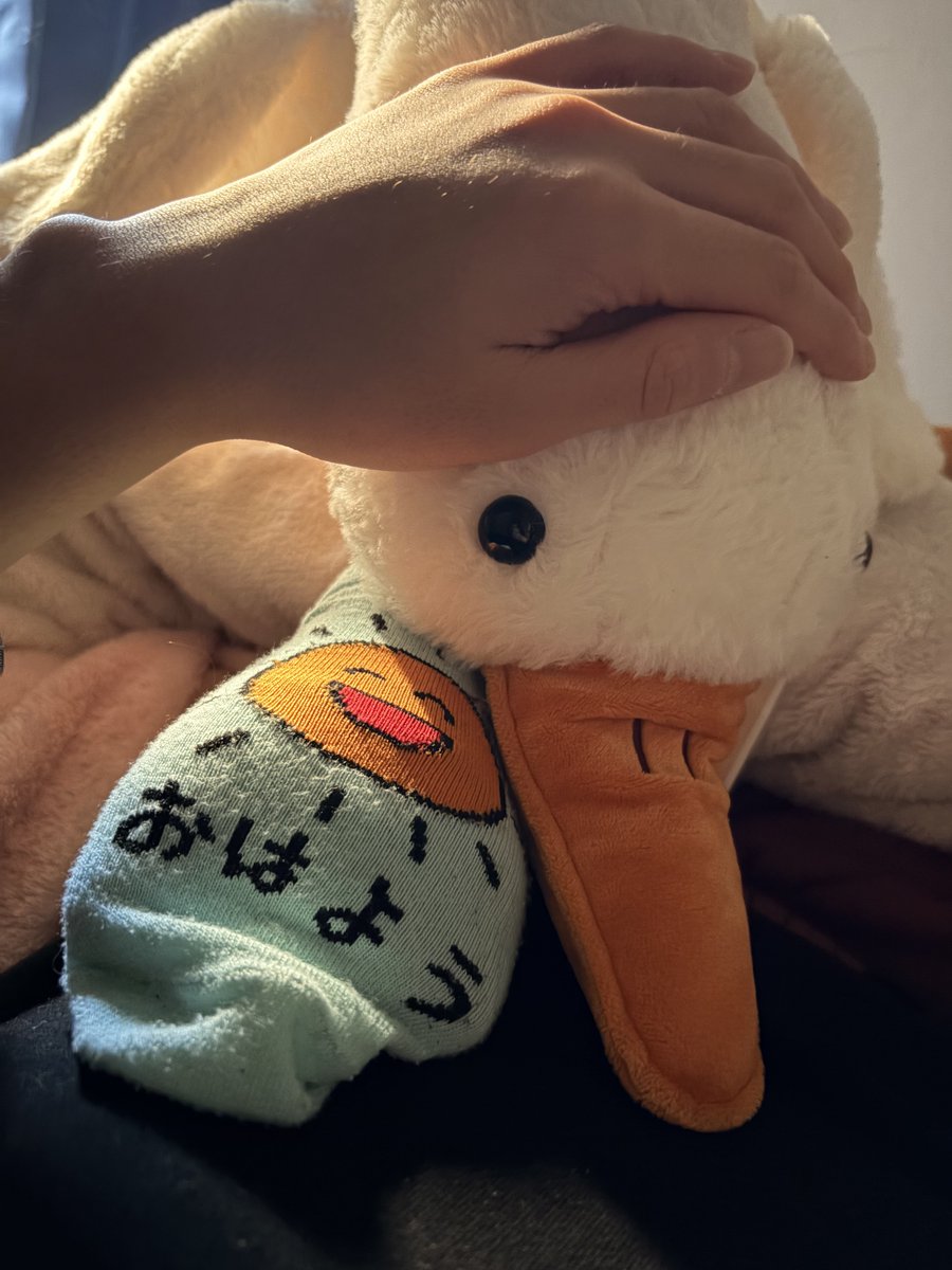 かんじ (@kanji_Toy) / Posts / X