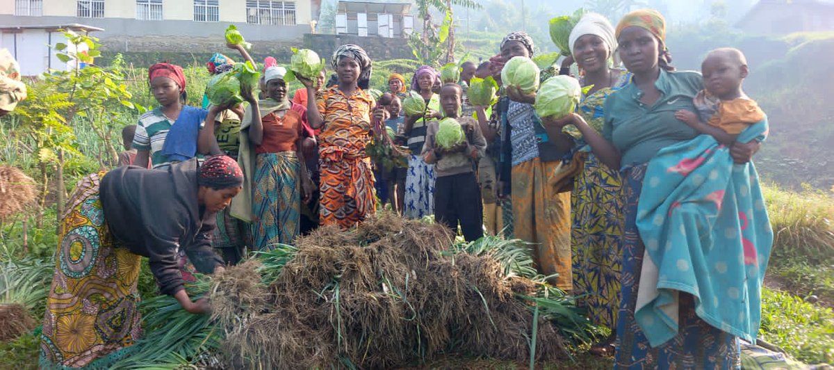 im82665's tweet photo. Récolte de produits maraîchères de la 1èr phase, de l'assistance en semences maraîchères. des poireaux, choux, carottes, betteraves et amarantes du projet d'appui à la résilience communautaire et lutte contre l'insécurité alimentaire en faveur de 150 ménages de PDIs à Masisi. https://t.co/D3zT3EdhZt