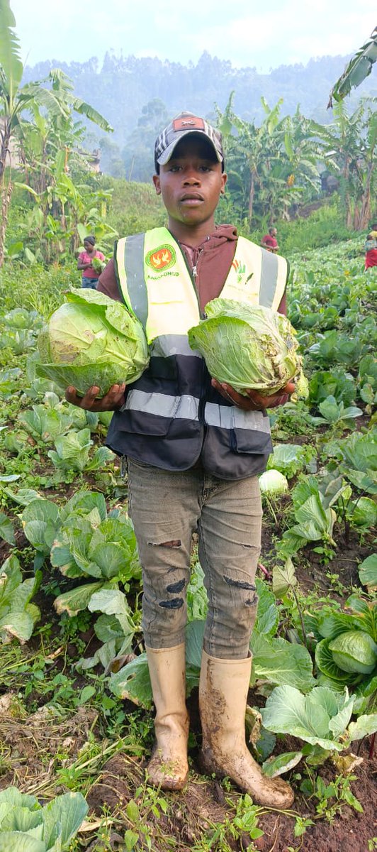 im82665's tweet photo. Récolte de produits maraîchères de la 1èr phase, de l'assistance en semences maraîchères. des poireaux, choux, carottes, betteraves et amarantes du projet d'appui à la résilience communautaire et lutte contre l'insécurité alimentaire en faveur de 150 ménages de PDIs à Masisi. https://t.co/D3zT3EdhZt