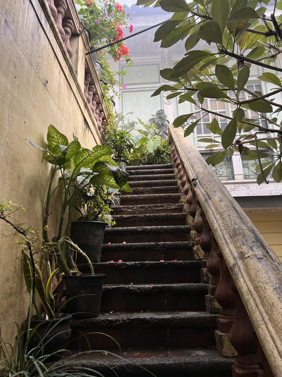 Adel Gamar tweet media