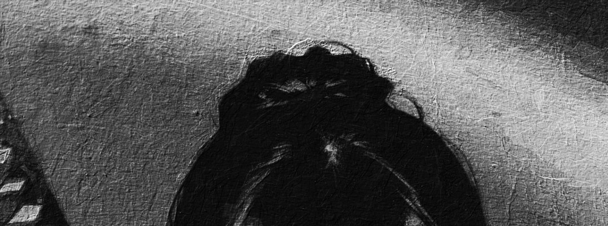 Poly 🇮🇩 tweet media