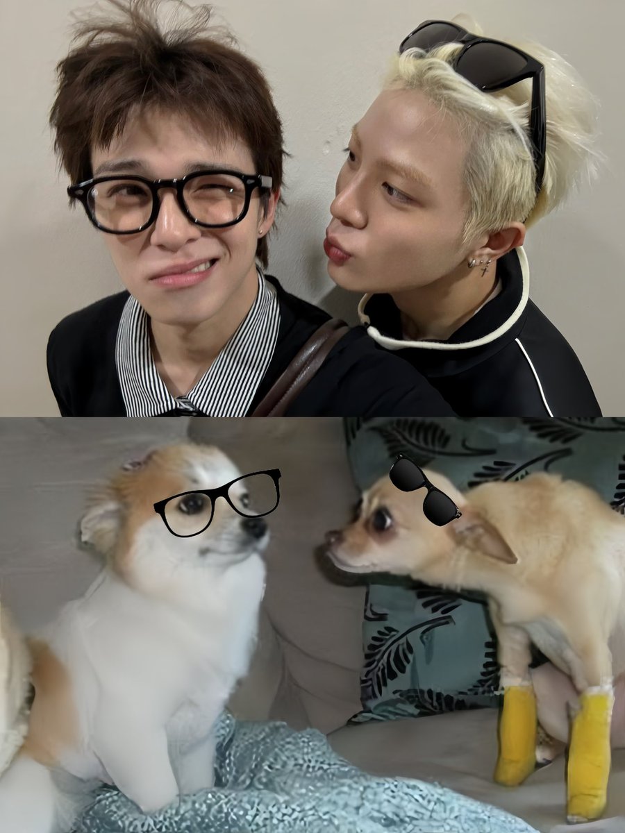 suchaญ♡ tweet media