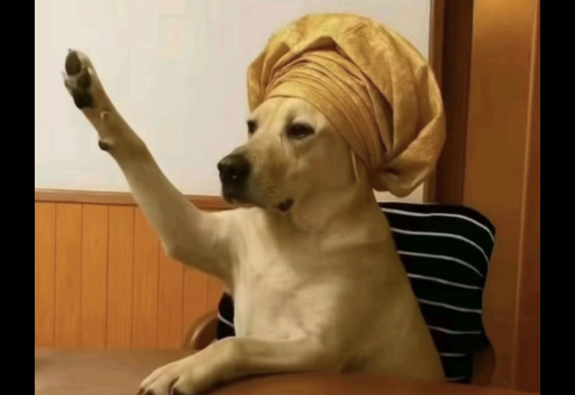 Gr8 Khaleel⚡ tweet media