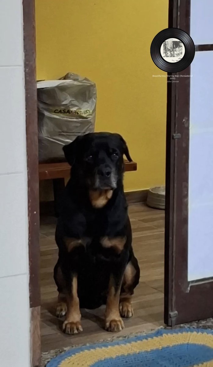 Ly 💢 DISPATCH LOVER tweet media