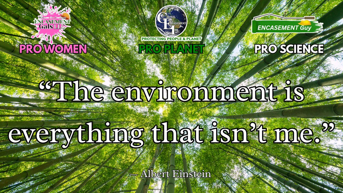 EncasementGals's tweet image. “The environment is everything that isn’t me.” — Albert Einstein 🌿

Protect what surrounds you, and you protect your future. 💚

👉 Order now because caring for the environment starts with the solutions we choose today. encasementgals.com/encasement-gal…

#ProPlanet #ProScience