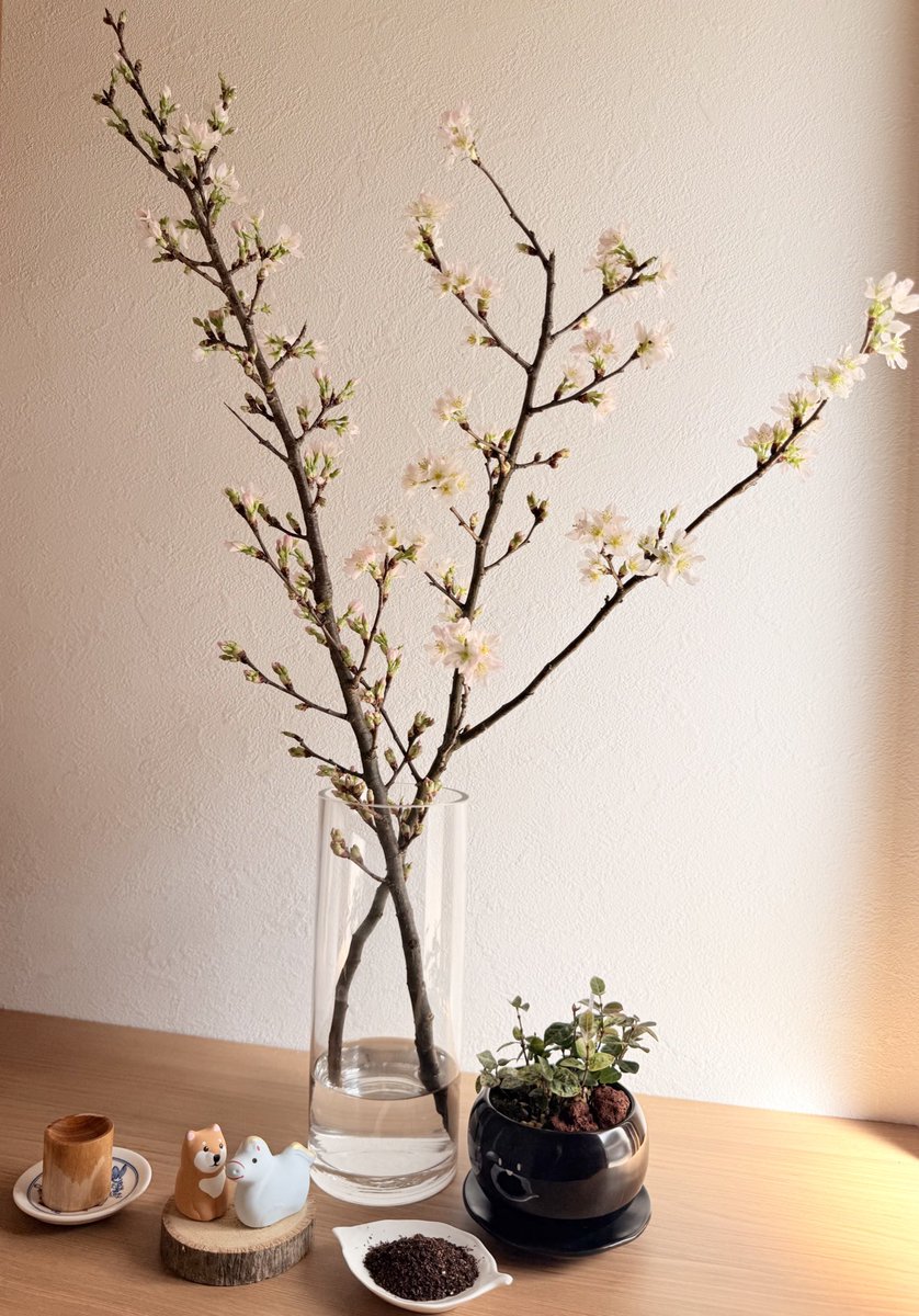 うーん。雅。（ナービィおるで）