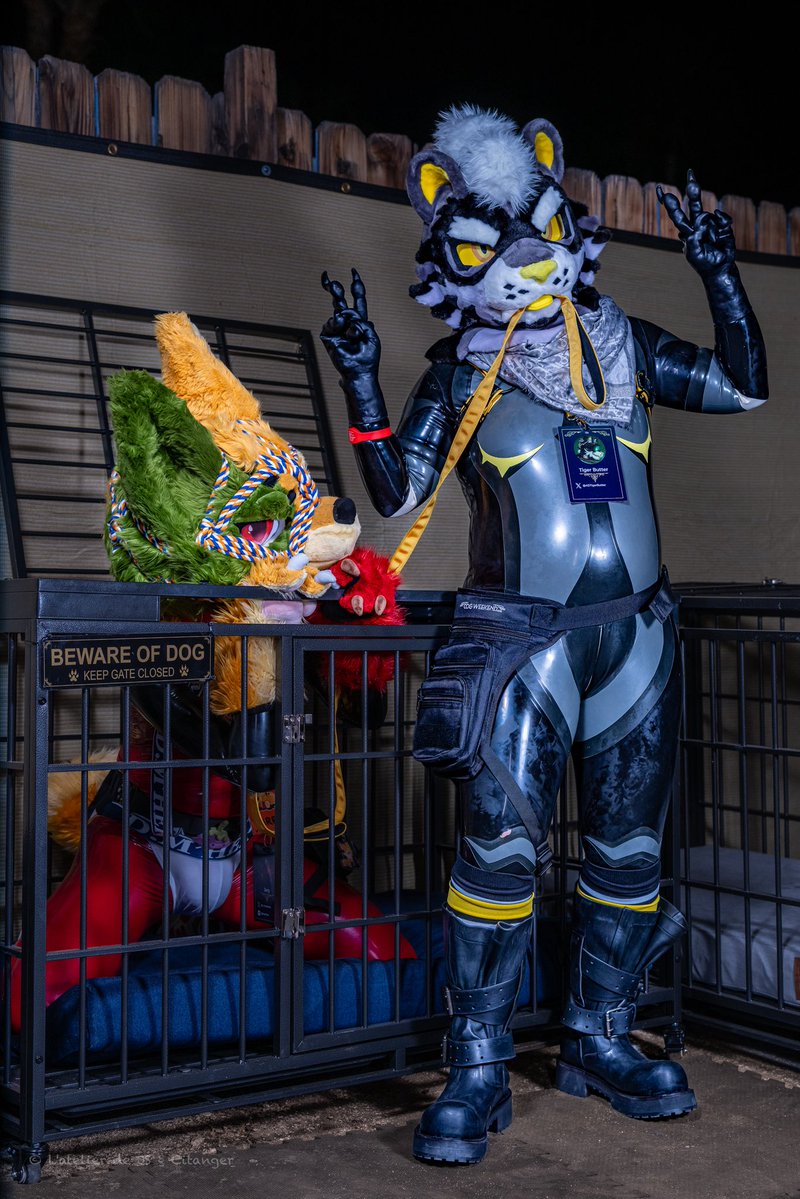 TigerButter tweet media