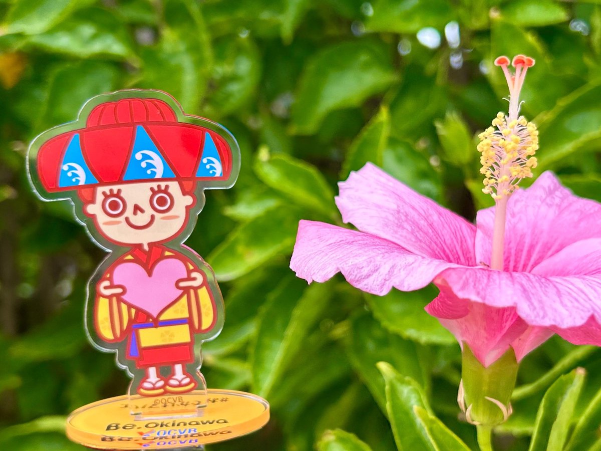 マハエちゃん【公式】 (@okinawastory_jp) / Posts / X