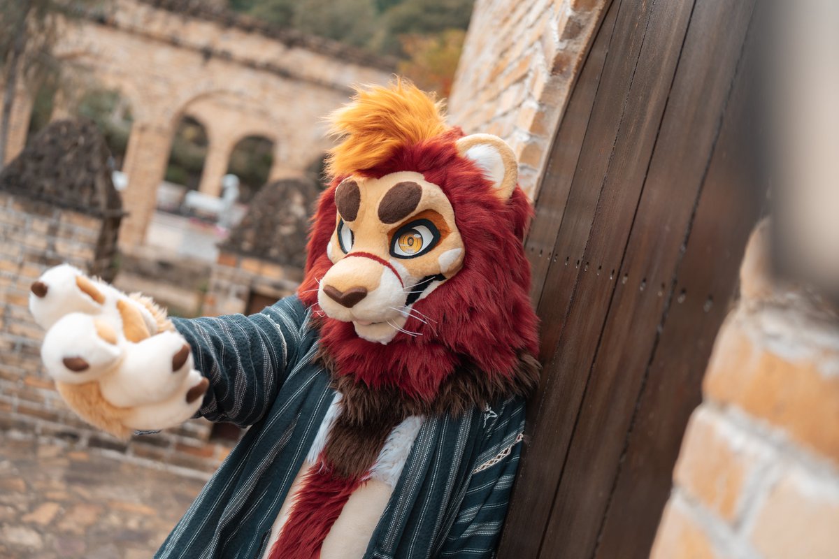 PaderLion_Fur's tweet photo. ✂️：@BK_fursuit
📷：@Arthsekiren

#FursuitFriday https://t.co/6jHzRwSbqT