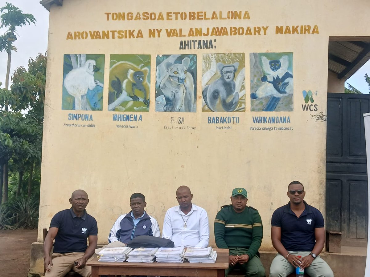 WCS Madagascar tweet media