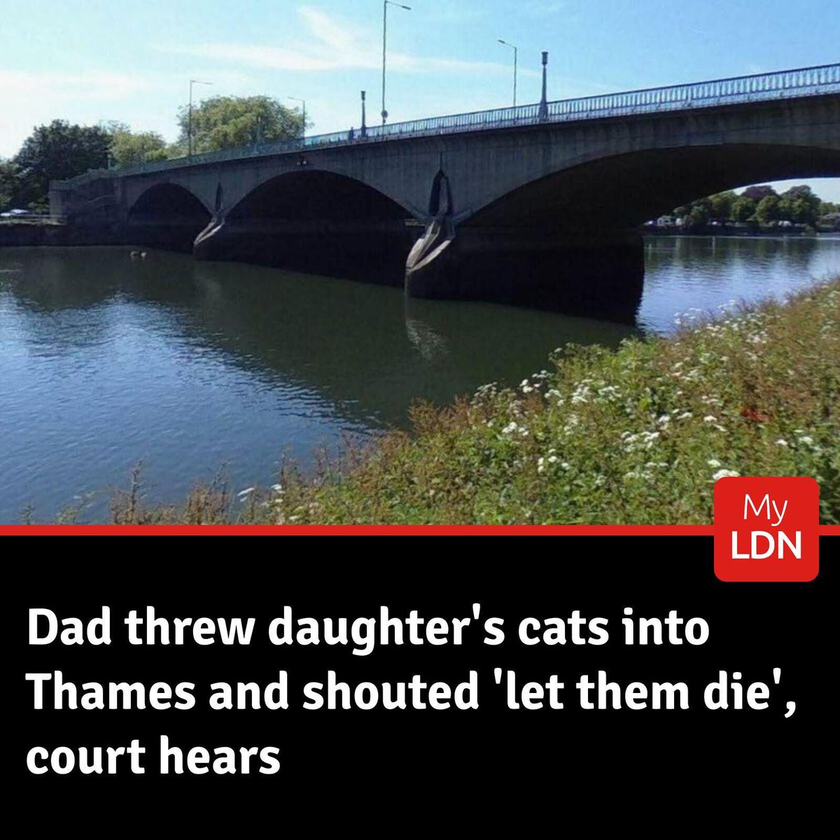 dominic dyer tweet media