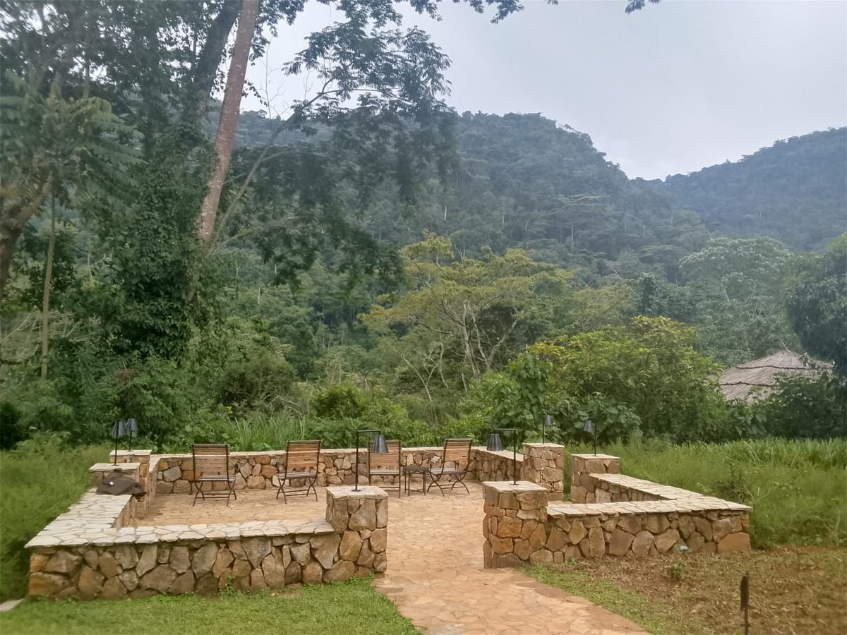 Fresh air, quiet roads and clear mind at Bwindi Lodge. 
arcadventures-ug.com 
#ArcAdventures |#ExploreUganda