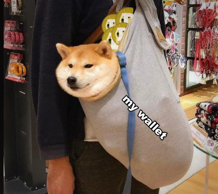AppleUSstocks's tweet photo. 【社区宣言】谷歌趋势背后的真相：当唱衰声四起，正是 $DOGE 信徒的集结号

最近，我一直在紧盯着谷歌趋势（Google Trends）的数据，同时也敏锐地感知着社交媒体上的风向。我得出了一个结论，一个可能让很多人感到意外的结论：
 现在，就是对狗狗币（$DOGE）进行 DCA（定投）的绝佳时机。
为什么？因为我看到了太多的反对者，听到了太多的噪音。

1. 别被“噪音”干扰，那是买入的信号

如果你在加密货币圈待得够久，你就会明白一个反人性的真理：当所有人都在欢呼时，你该警惕；当所有人都在唱衰、嘲笑甚至遗忘时，机会的大门才真正打开。
现在的市场上，充斥着太多对 $DOGE 的质疑声。很多人说它“过气了”，说它“没有技术”。
但在我眼里，这些反对的声音恰恰是市场底部的回响。当看客们纷纷离场，留下的才是真正的钻石手。

2. 太多新人不懂“Doge Way”

现在的市场里，有太多急功近利的新面孔。他们盯着K线的每一分钟波动，焦虑、愤怒、甚至谩骂。
我想对这些新人说：你们搞错了重点，你们忘了总督（Doge）的道路。
$DOGE 从来不仅仅是一个代币（Token），也不仅仅是一行代码。
它是一种生活方式（Lifestyle）。
它是一种独特的氛围（Vibe）。

它是“Do Only Good Everyday”（日行一善）的具象化。
比特币是为机构和极客准备的，以太坊是为开发者准备的，而 $DOGE 是为人民准备的（For the People）。 这种根植于草根、幽默与善良的文化共识，才是它穿越无数次牛熊依然屹立不倒的最强护城河。

3. 拥抱氛围，或是留在地球

我们正在经历一场清洗，清洗掉那些没有信仰的投机者。
对于留下来的人，我想说：拥抱这种氛围吧。 享受社区的表情包，享受这种轻松幽默的投资心态。不要让贪婪吞噬了你的乐趣。

我们的目标始终未变——那是一场前往月球的旅行（To the Moon 🚀）。
这注定是一场星际穿越，途中会有颠簸，会有失重，会有极端的重力加速度。
如果你不喜欢太空旅行的刺激，如果你只想稳稳地待在舒适区，那没关系，$DOGE 可能确实不适合你，留在地球也是一种选择。

4. 致多奇及超越！

但是，当火箭点火，当我们冲破大气层进入星际空间时，请不要感到困惑，也不要因为被甩在身后而后悔。
历史属于那些在低谷期依然保持幽默、坚持信仰的人。
让我们重拾那个最纯粹的口号，像巴斯光年那样望向浩瀚宇宙：
 “致多奇及超越！”（To Doge and Beyond!）
✨🐕🚀🌕
#Dogecoin #DOGE #Crypto #DogeArmy #DoOnlyGoodEveryday #长期主义 #加密货币 #投资心态