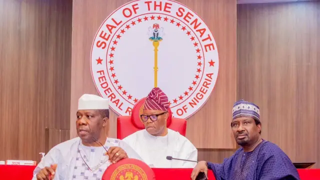 UPDATED!!! Walkout, Division As NASS Endorses Electronic, Manual Transmission Of Election Results