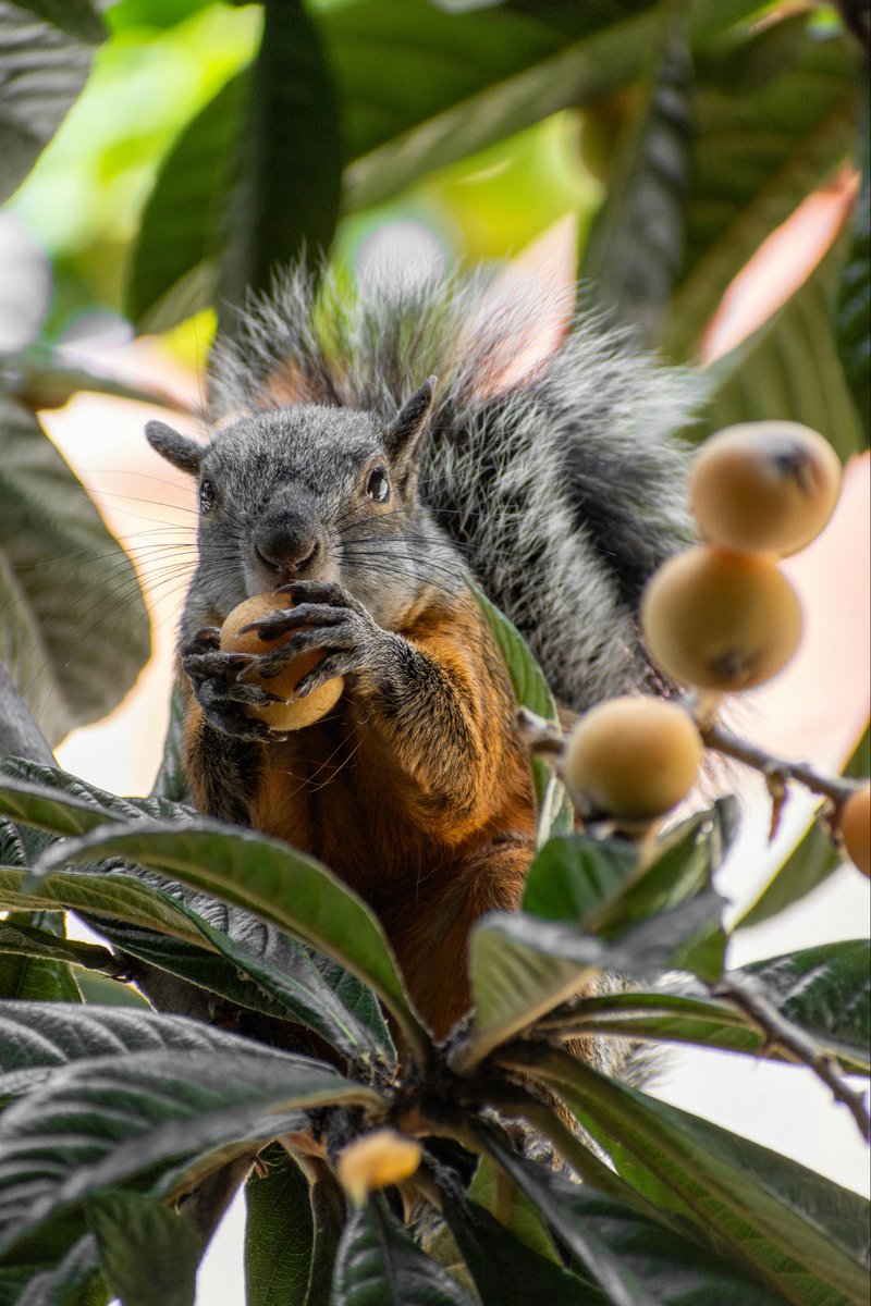 Marie Nassar3 tweet media