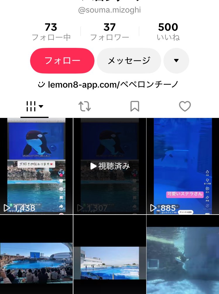 たまたま流れてきた人の動画、、無断転載しまくり💢
シャチ友さんの動画、画像もあるし許せないですね…ｺﾘｬ
