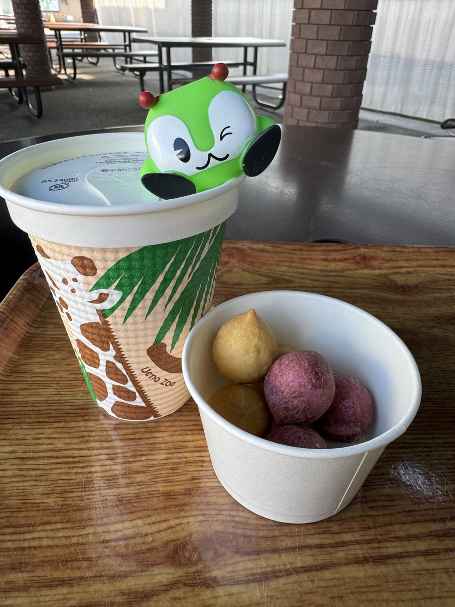 まめページ まめ (@mamefish4) on X