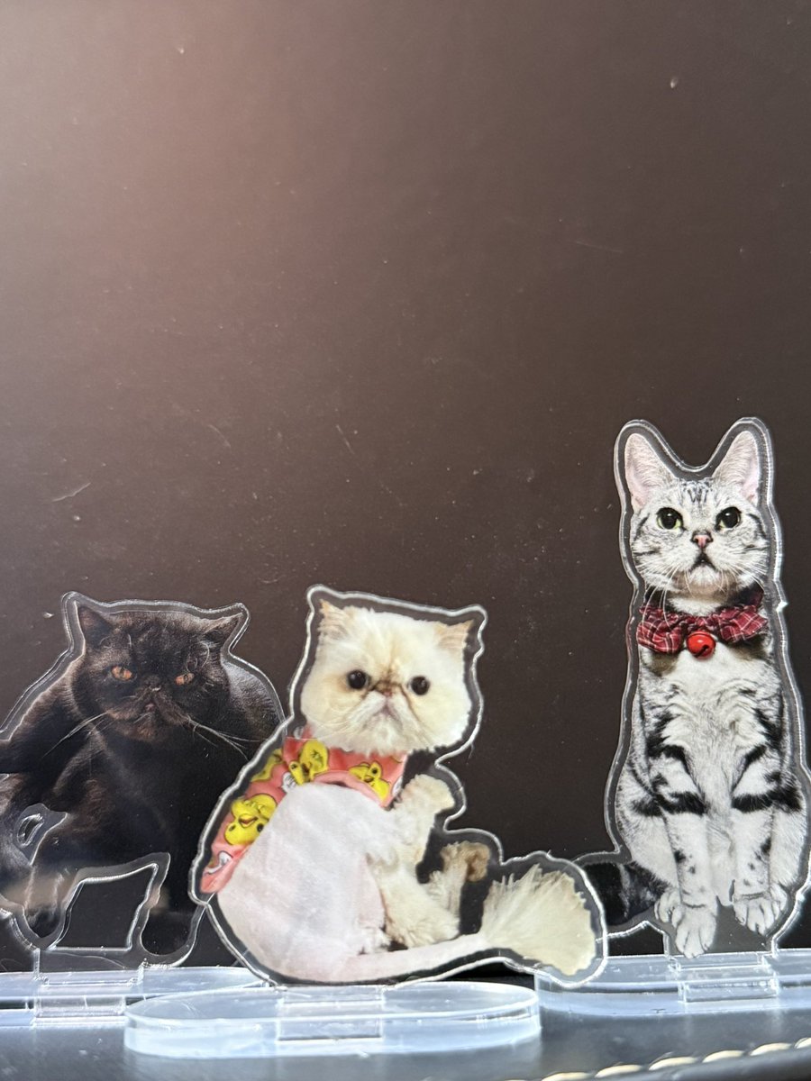 これはいいね。どうしても飼い猫を外に出して見せびらかしたければ