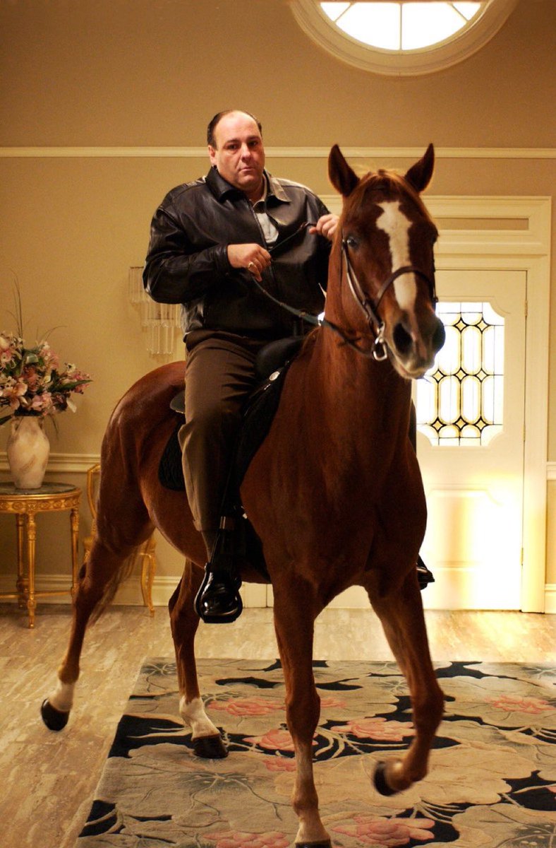 The year of the horse