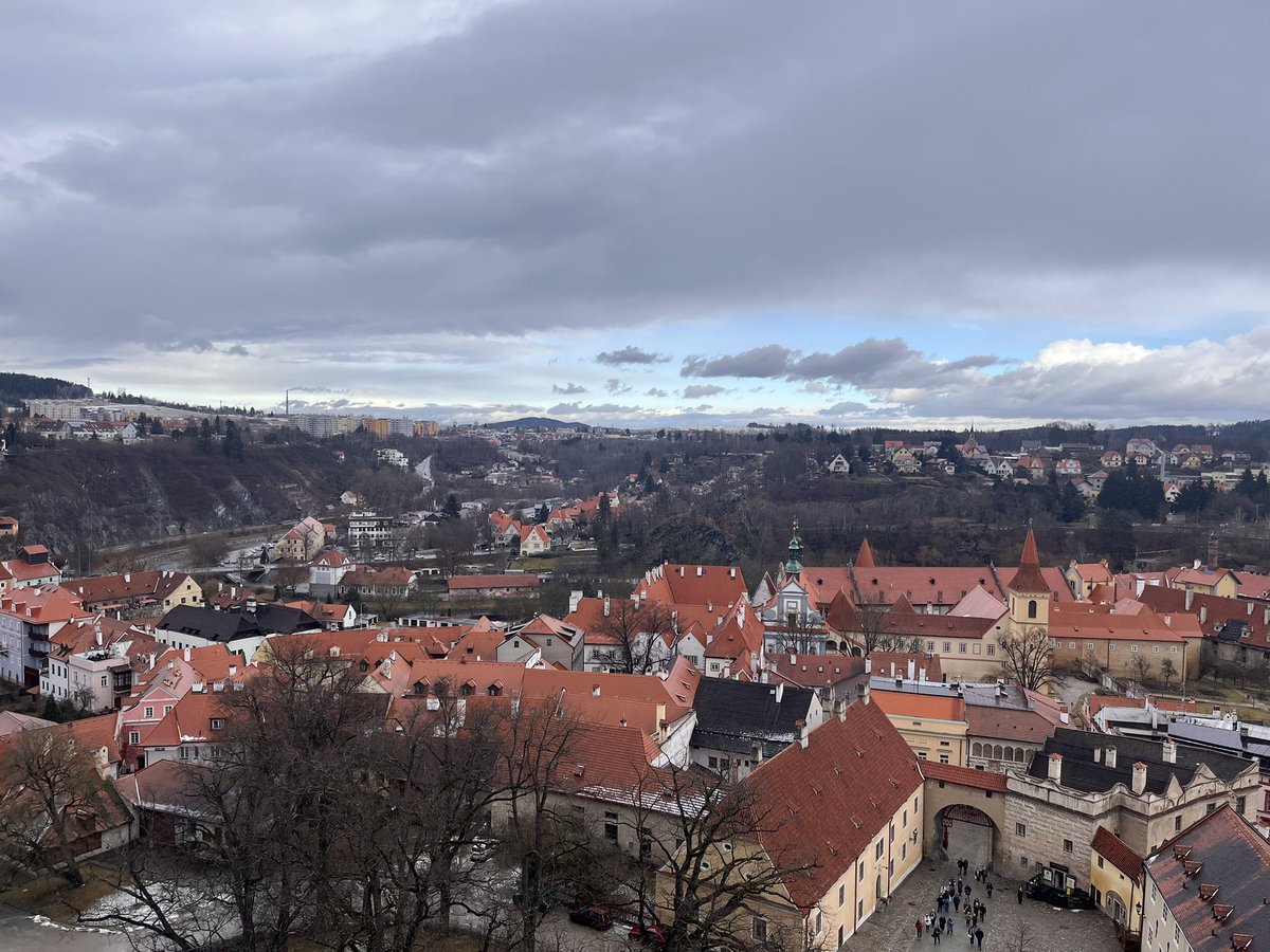 米凱利斯．諾克塔爾🪶新人vtuber tweet media