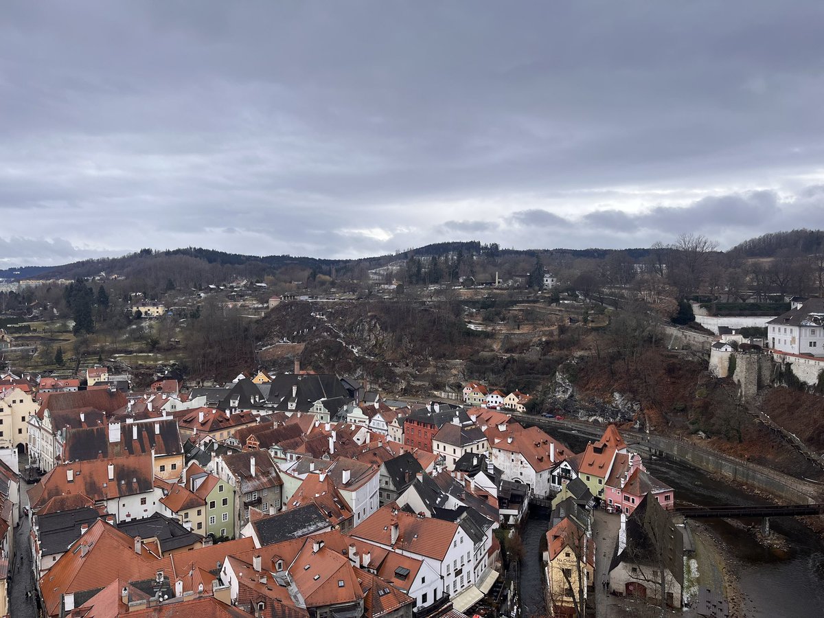 米凱利斯．諾克塔爾🪶新人vtuber tweet media