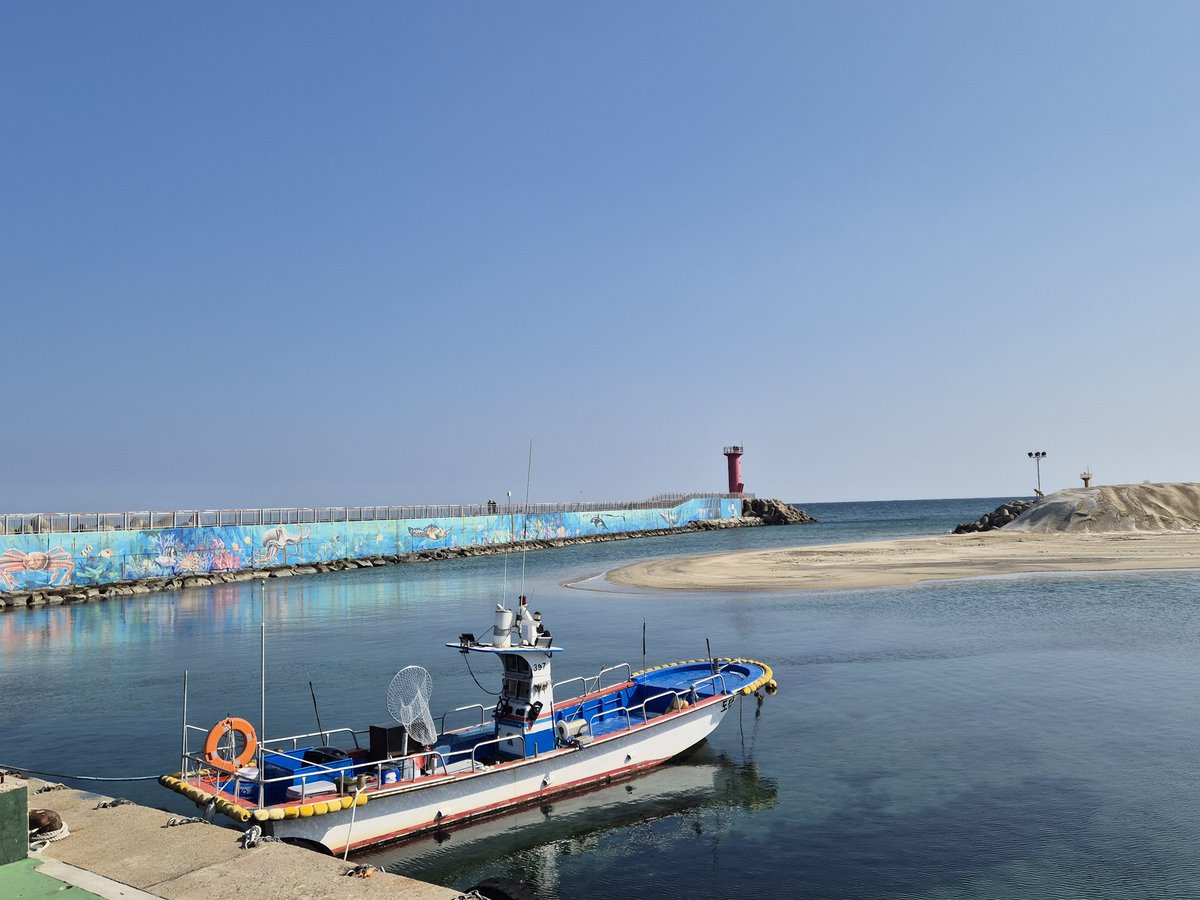 Creatio_'s tweet image. 바다아