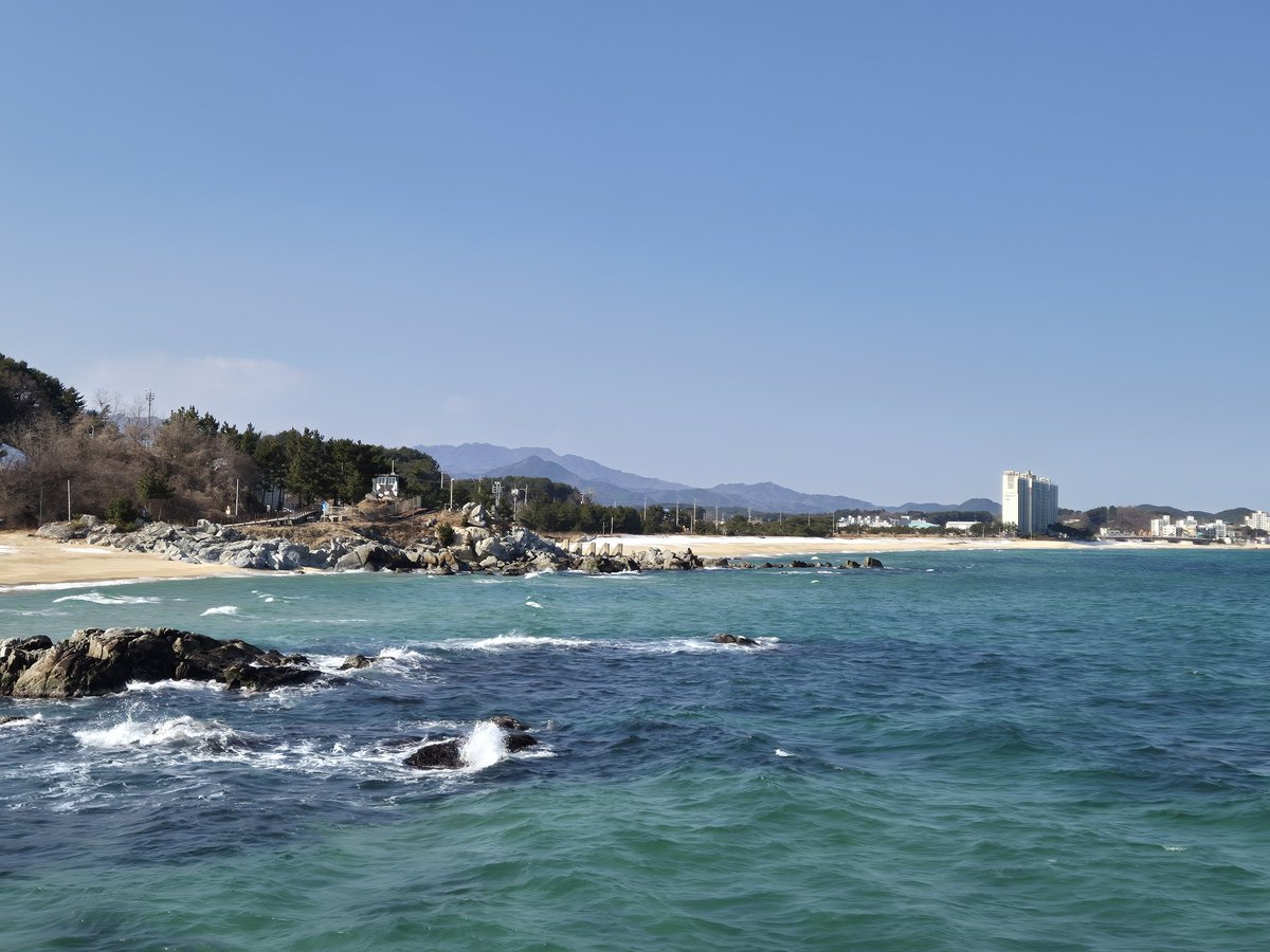 Creatio_'s tweet image. 바다아