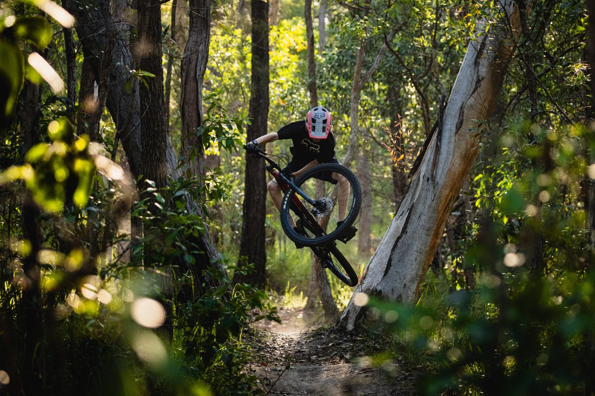 しょー (@ShoatUofMn) / Posts / X