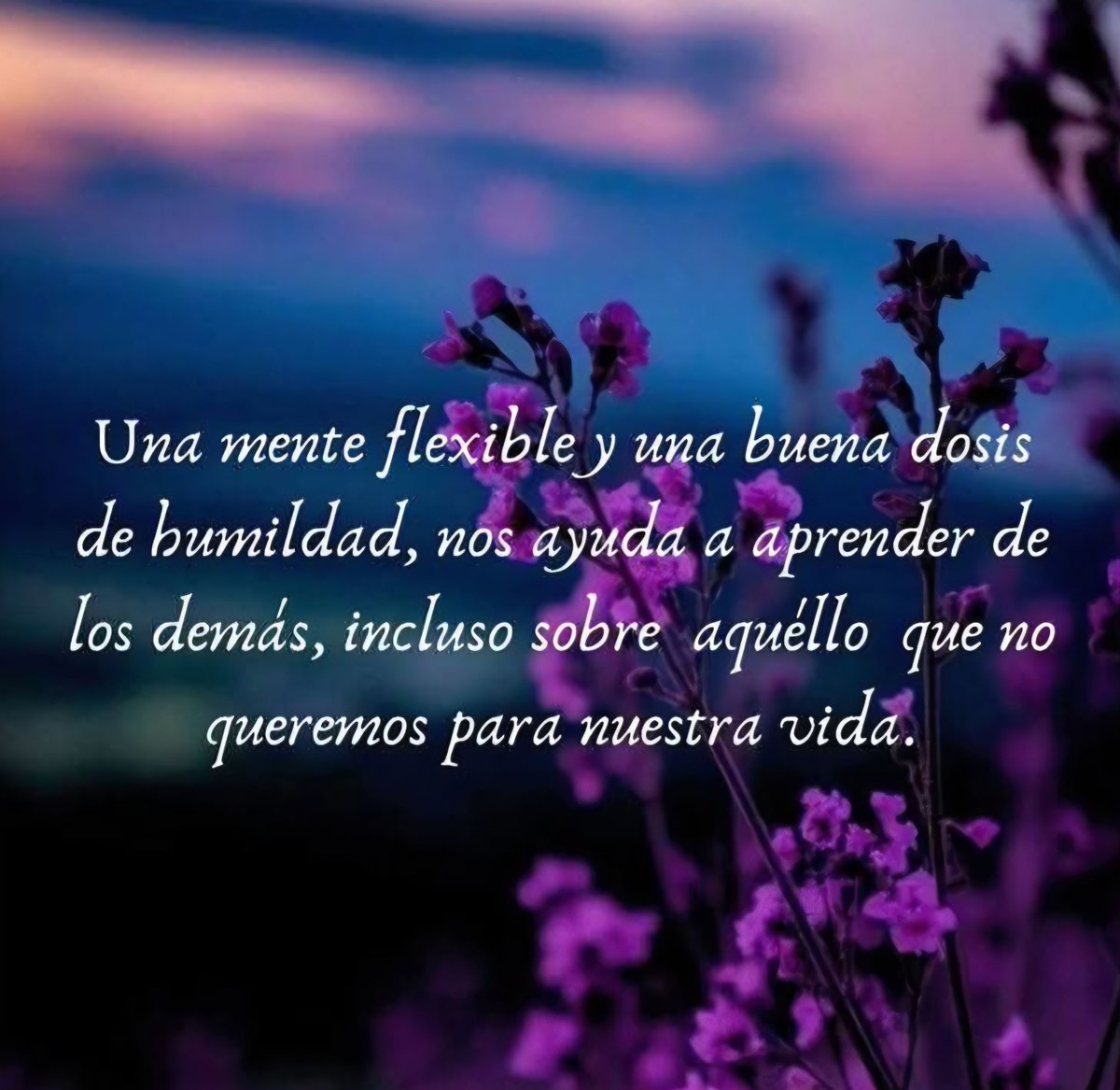 Mireia Bosch Tello tweet media