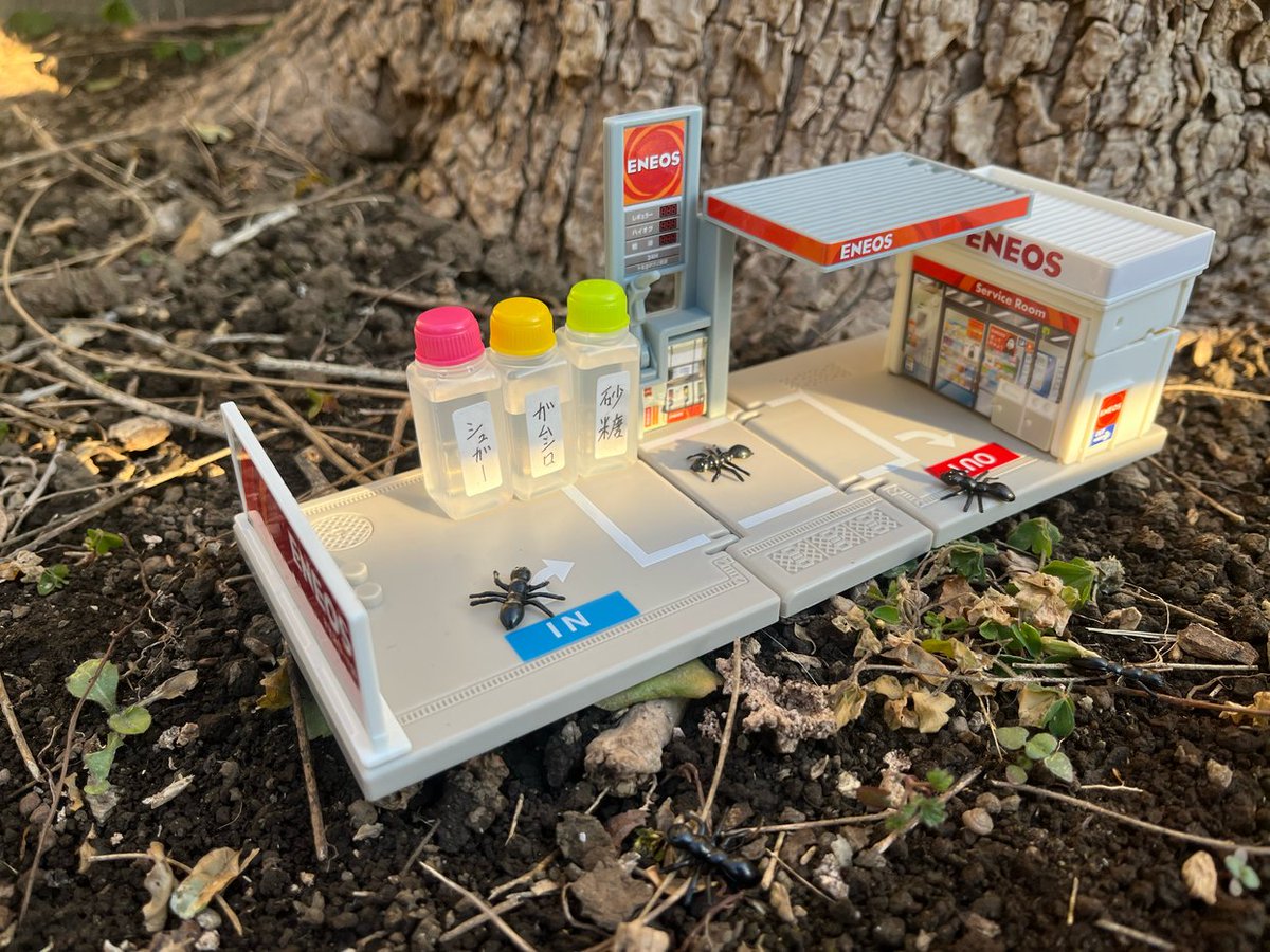 アリさんのためにサービスステーションを設置しました。