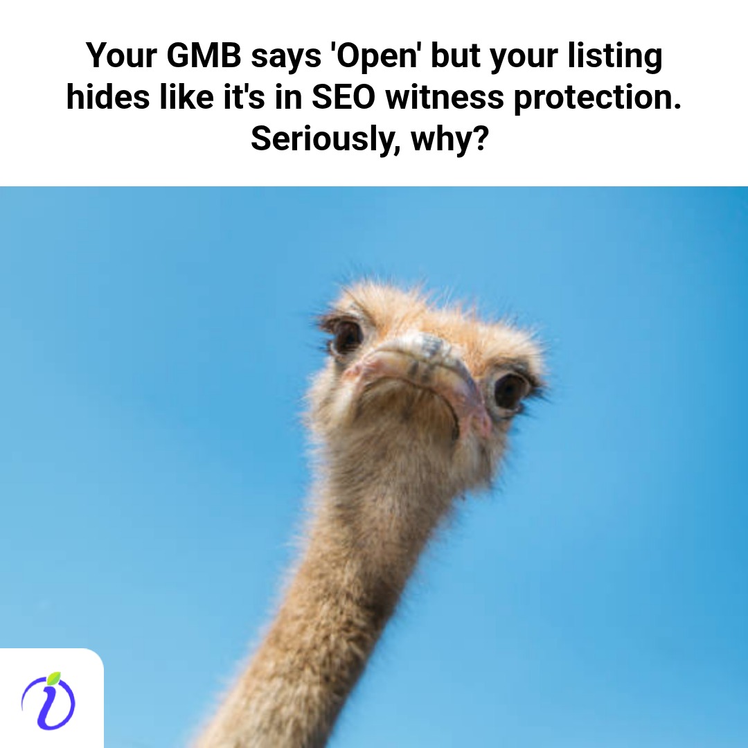 Indzu_Social's tweet image. Still hiding on Google My Business? Claim, verify, keep info updated, use local keywords, post fresh photos, gather reviews, and stay consistent. Boost your local visibility today! Visit indzu.com/social to get started. 🚀 #LocalSEO #GrowLocal