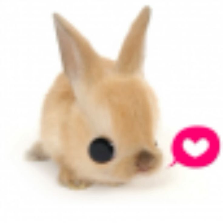 sanbunnies's tweet photo. (๑'ᵕ'๑)⸝* all interaction are appreciated! 

こんにちわ >__✋🏻 hewlooo semuaa! kita punya 16 ready stock genshin 🩷 yang bisa kamu take sekarang di dm sekarang jugaa 🥣‼️

#zonauang #zonaba https://t.co/MtyZEZbItv