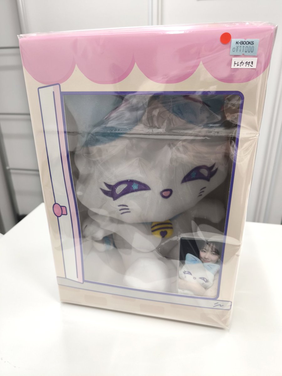 ME_I 【入荷情報】 おすわりME:EYE's CORONが入荷致しました(ᯫ᳐˶ꔷ