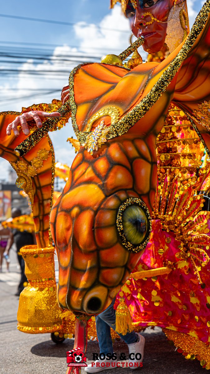 Ross & Co Productions tweet media