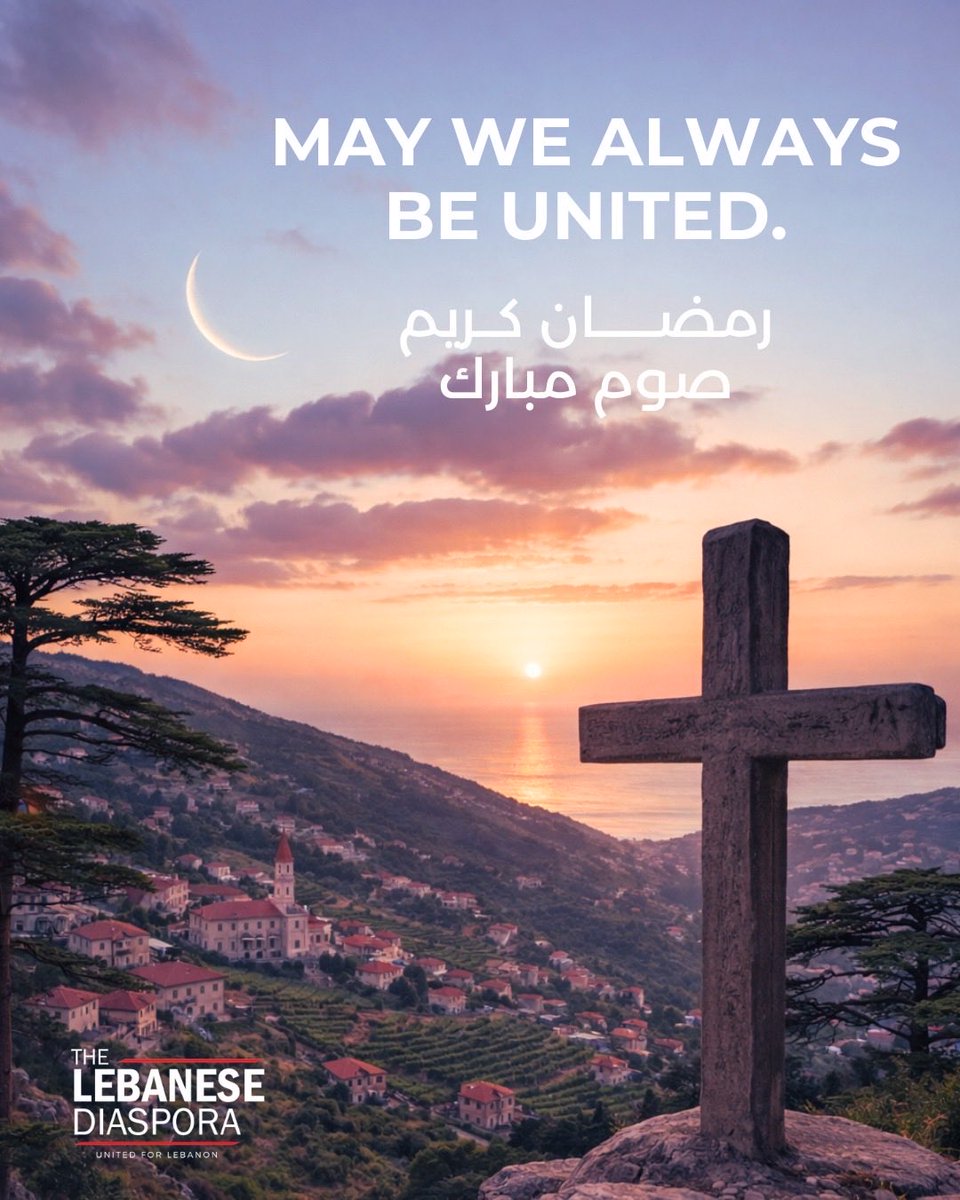 The Lebanese Diaspora Network tweet media